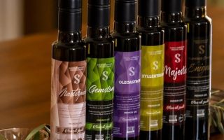 Greek olive oil producer sweeps prizes at EVOOWR 2021