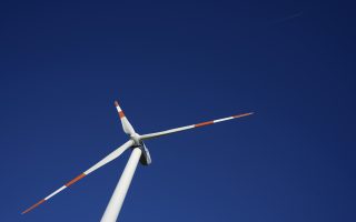 ngo-warns-of-wind-turbine-threat-to-vultures