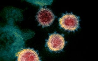 T-cells from common colds can provide protection against Covid-19, study shows