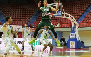 Outstanding Nedovic averts shock for the Greens