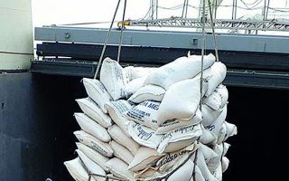 Nicosia to build up grain stock