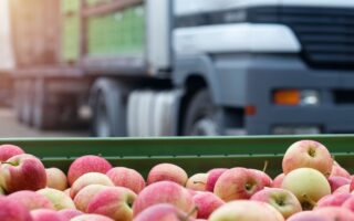 Fruit and veg exports suffer