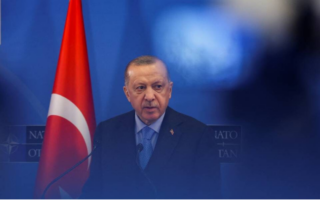 Erdogan: Turkey will ‘not be stung again’ as it was with Greece joining NATO