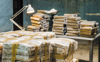 Second cocaine haul points to cartel activity