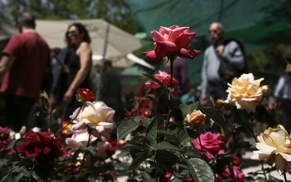 Flower Show | Athens | To May 15