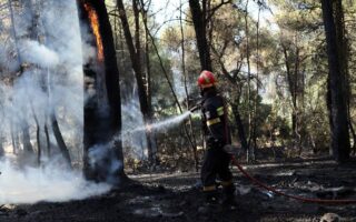 The Fire Department reported 378 forest fires last week