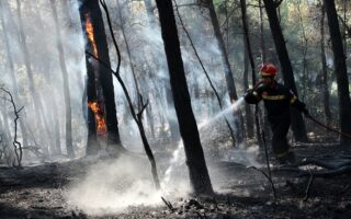 Large forest blaze forces evacuations west of Athens