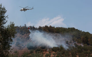 Fire Service reports 58 forest fires in 24 hours