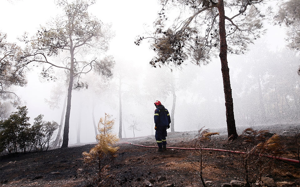 42 forest fires in 24 hours