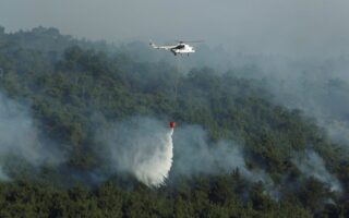 Wildfires in Europe burn second-biggest area on record