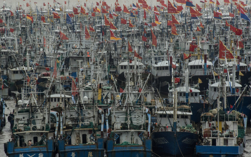 How China targets the global fish supply