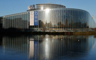 European Parliament elections: Mirror and distorted image