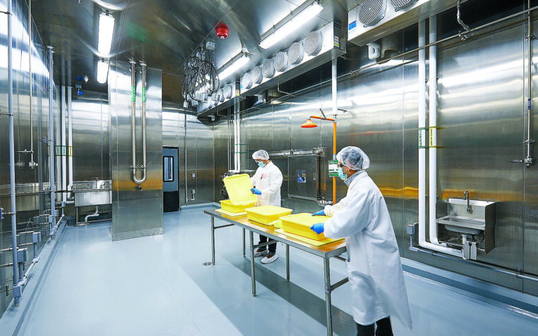 Is lab-produced meat the future?