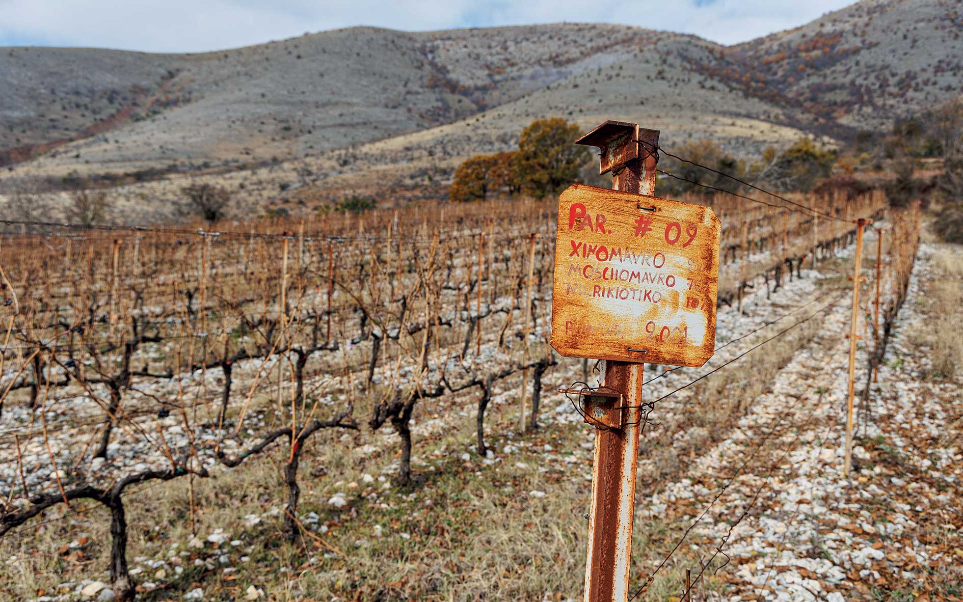 greek-wines-tasting-the-northern-terroir0