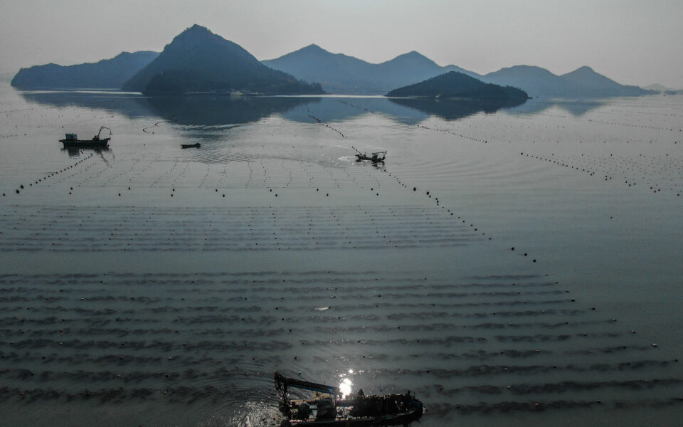 The next frontier in farming? The ocean