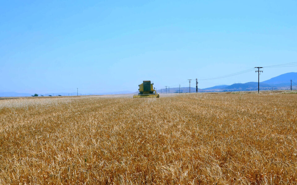 Cyprus, Greece to strengthen agricultural cooperation