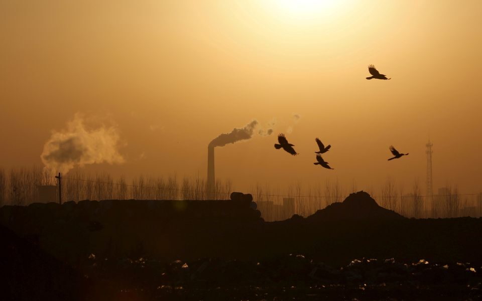 European Parliament backs reform of EU carbon market