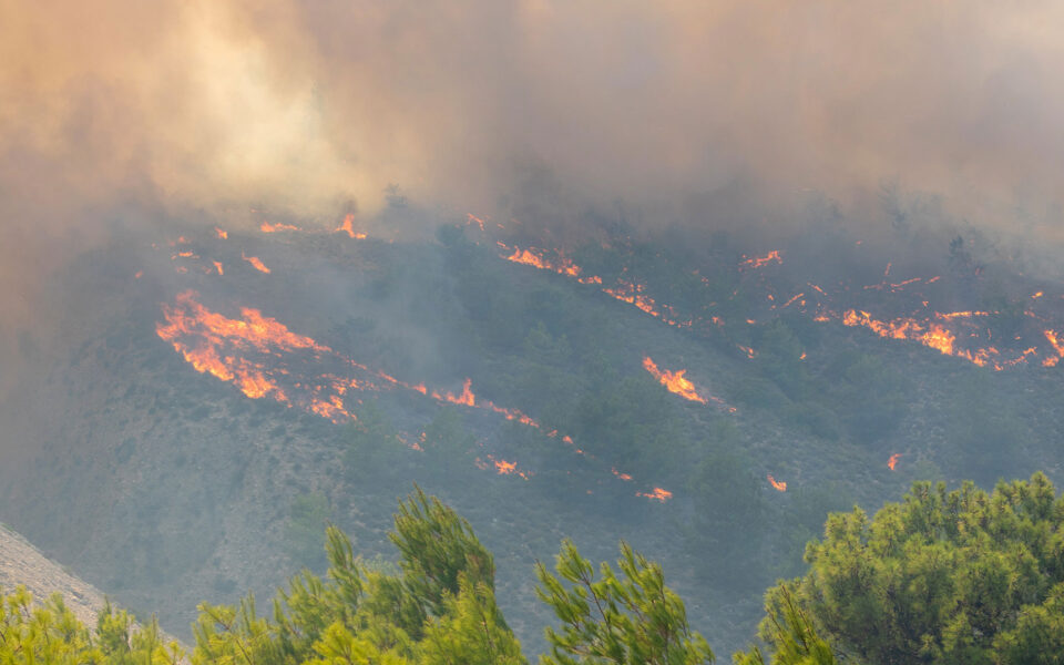 High winds curtail efforts to put out three active fire fronts and rekindlings in Rhodes