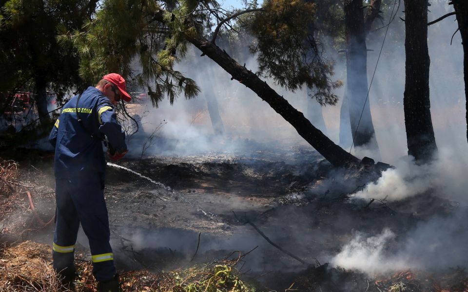 51 new wild fires in last 24 hours