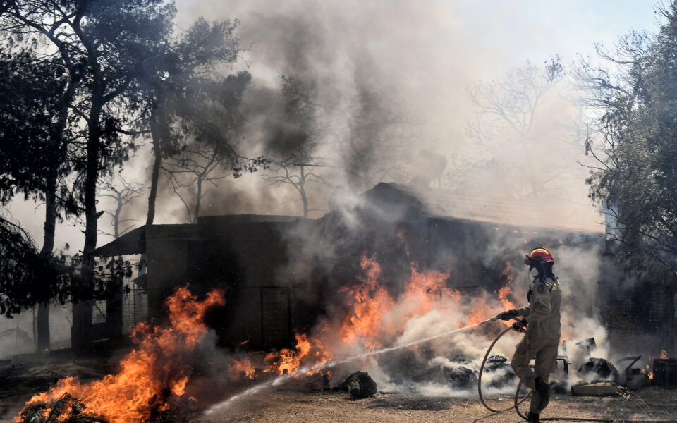 Wildfires burn homes near Greek capital, residents flee