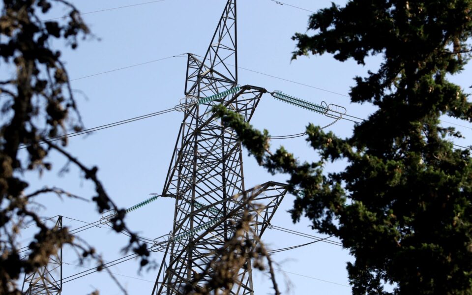 Power transmission company employee electrocuted while cutting branches