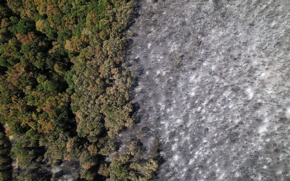 Fire leaves trail of eco-destruction