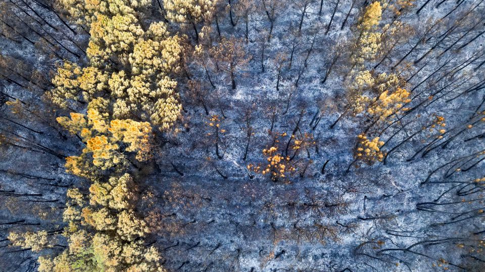 Massive wildfire persists for 11th day despite firefighting efforts