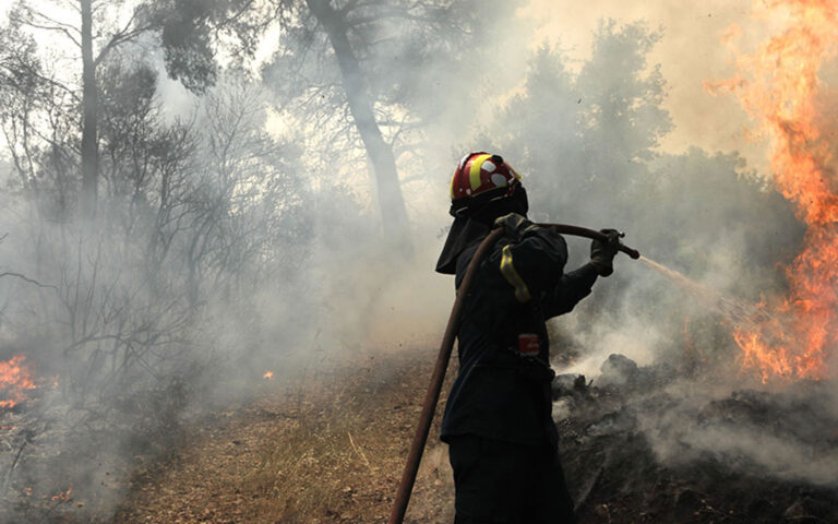 Wildfire erupts in rural area in central Greece