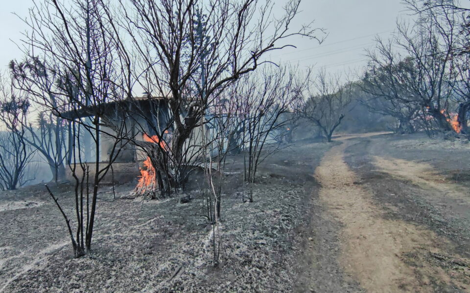 اليونان - اليونان.. النيران تلتهم المنازل والغابات بينما تخرج حرائق الغابات التي خلفت 20 قتيلاً في اليونان عن السيطرة - صور