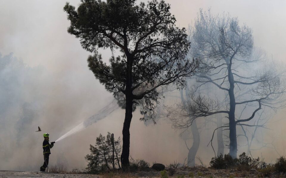 Wildfire abates in Evros as satellite data exposes magnitude of disaster