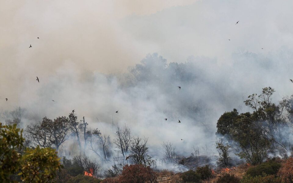 A massive wildfire in northeastern Greece is gradually abating. Over 700 firefighters were deployed