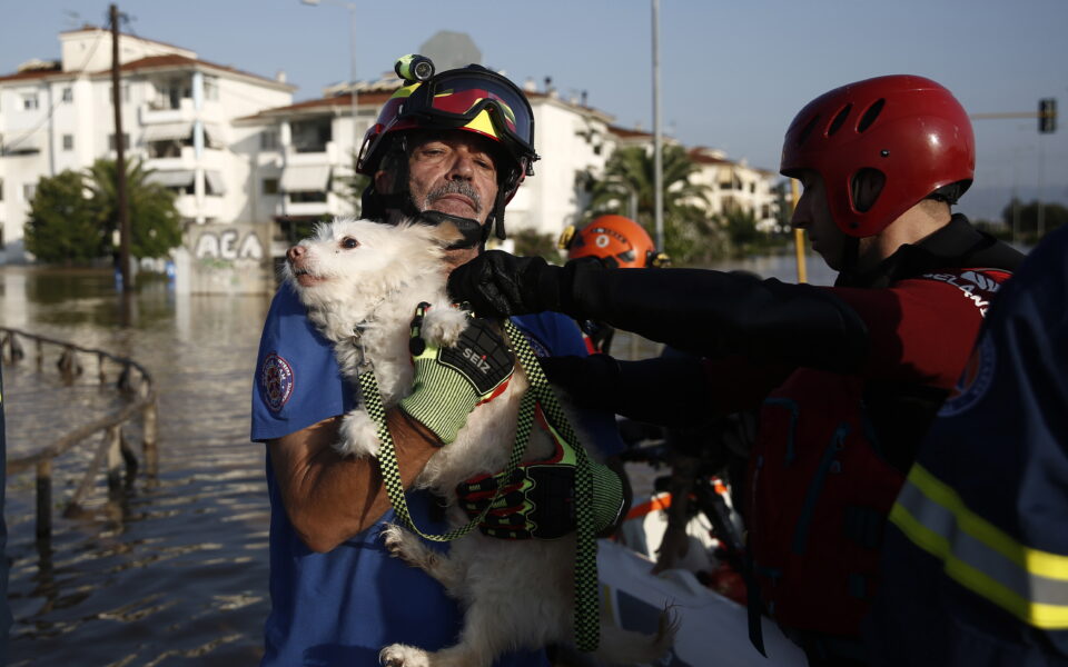 Greek rescue teams move into worst-hit flood villages