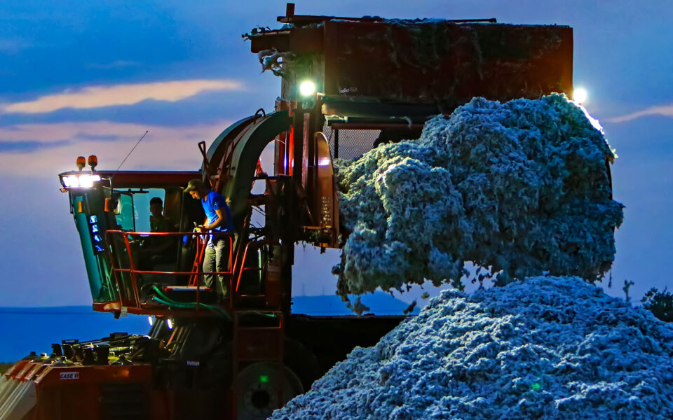 Evros: Farmer electrocuted while harvesting cotton