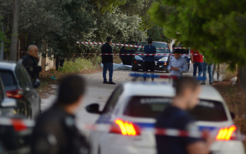 New details on shooting of six Turks