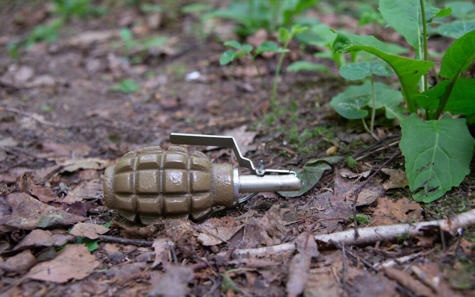 Police bomb disposal called after grenades spotted on Mt Parnitha