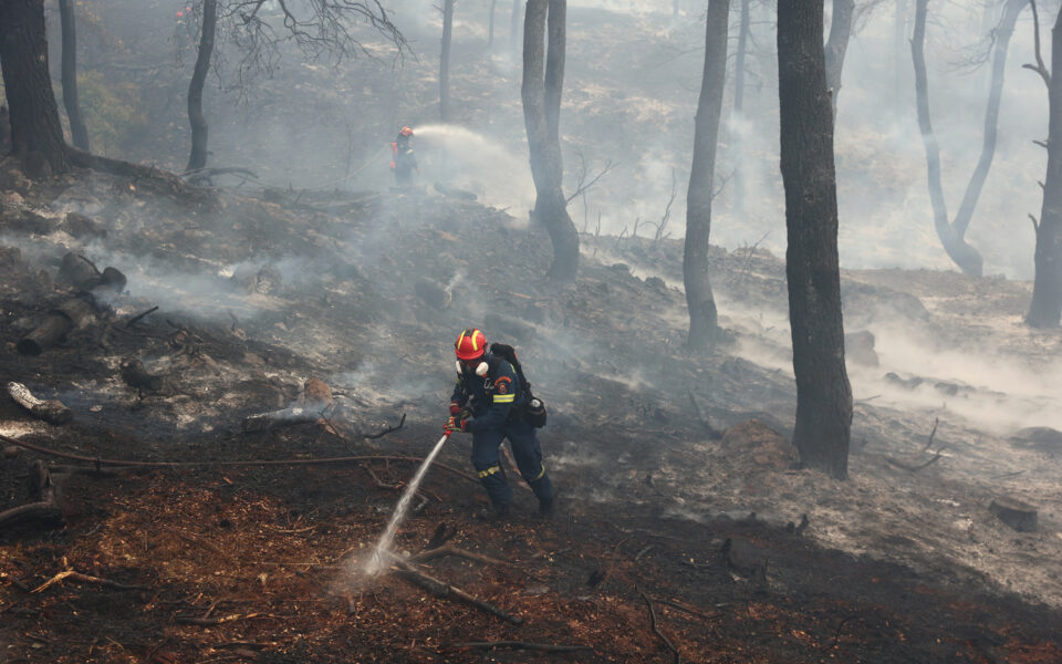 Forest fires still raging in November