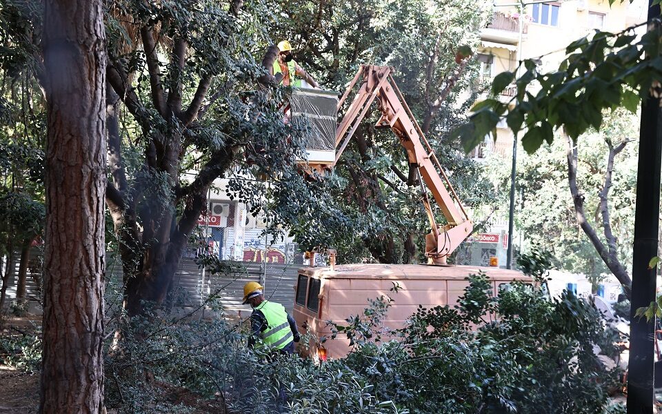 Government takes swipe at new Athens mayor over tree dispute