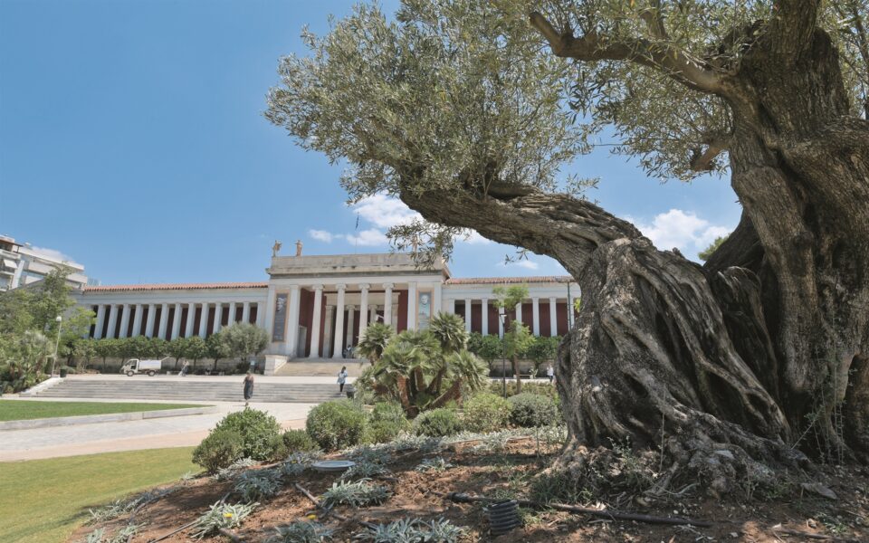 Archaeological Museum enters digital age