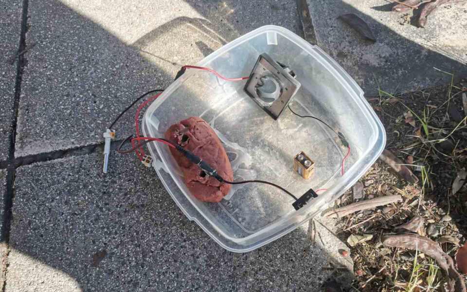 Bomb deactivated near riot police HQ in Zografou