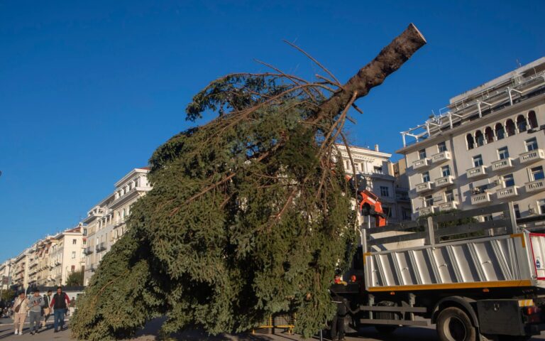 Christmas tree recycling program for sustainable waste management