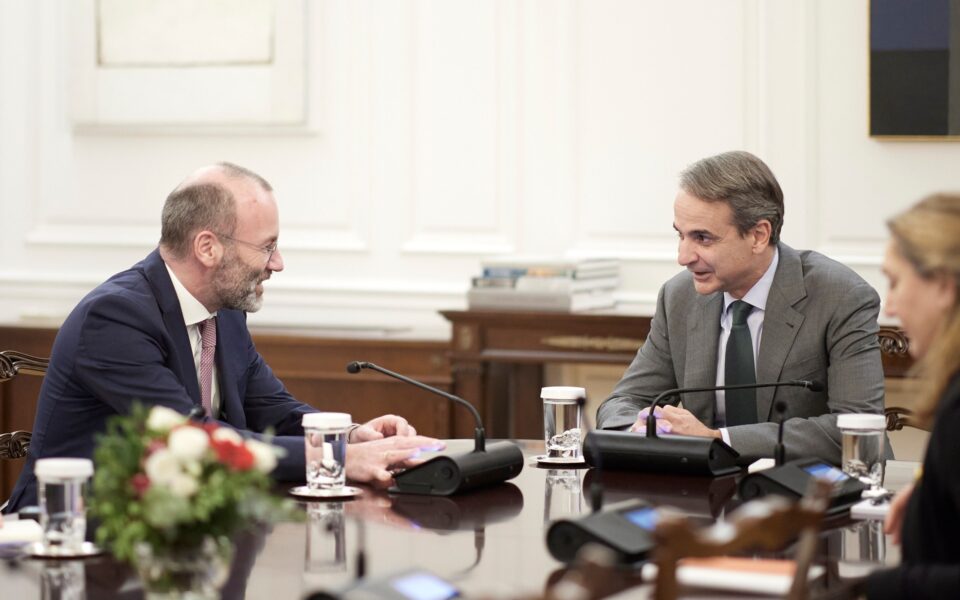 PM discusses European elections with EPP president