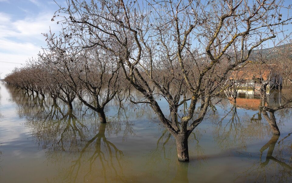 Thessaly famers want flooded land back