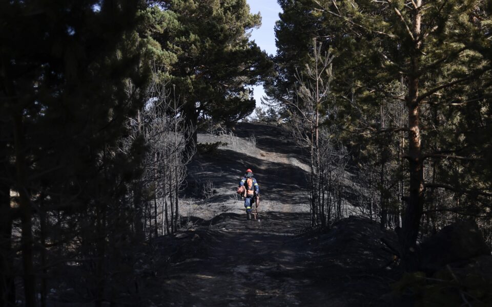 Drought sees fires beginning as early as March