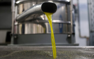 Olive oil accounts for half of all food sector inflation, study shows